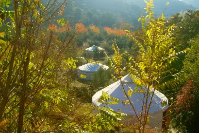 yurts_view_tops-410x273